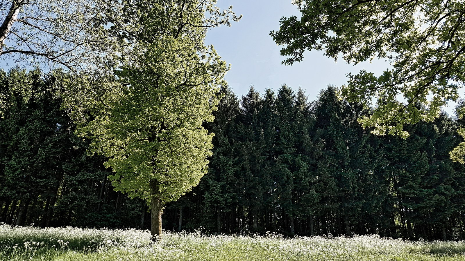 Lindenberg - beim Friedhof