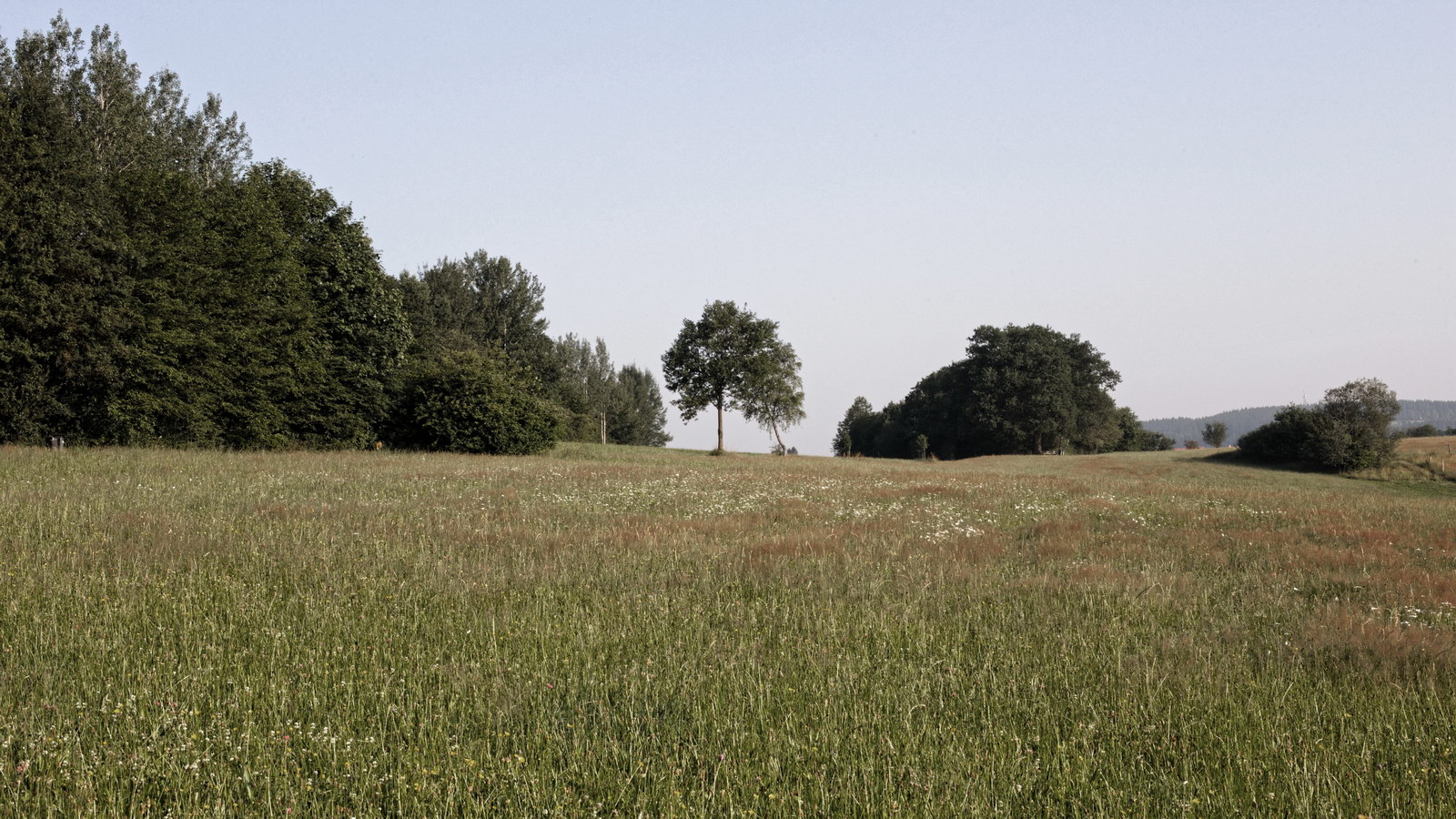 Lindenberg - zum Friedhof