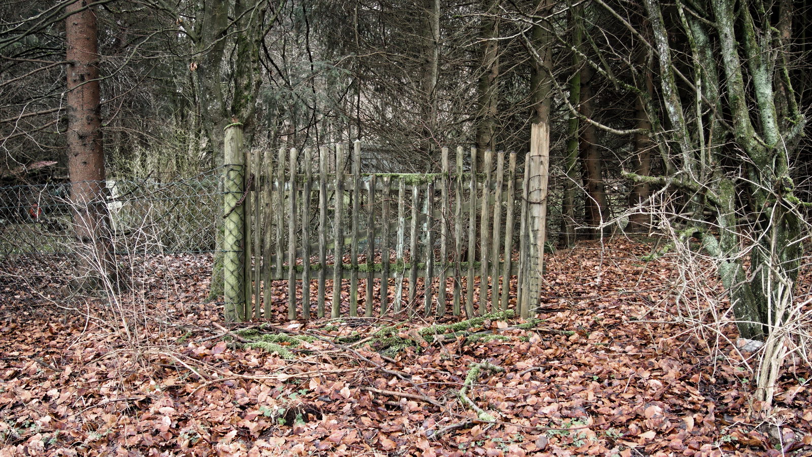 Lindenberg - in der Nähe des Schrottplatzes