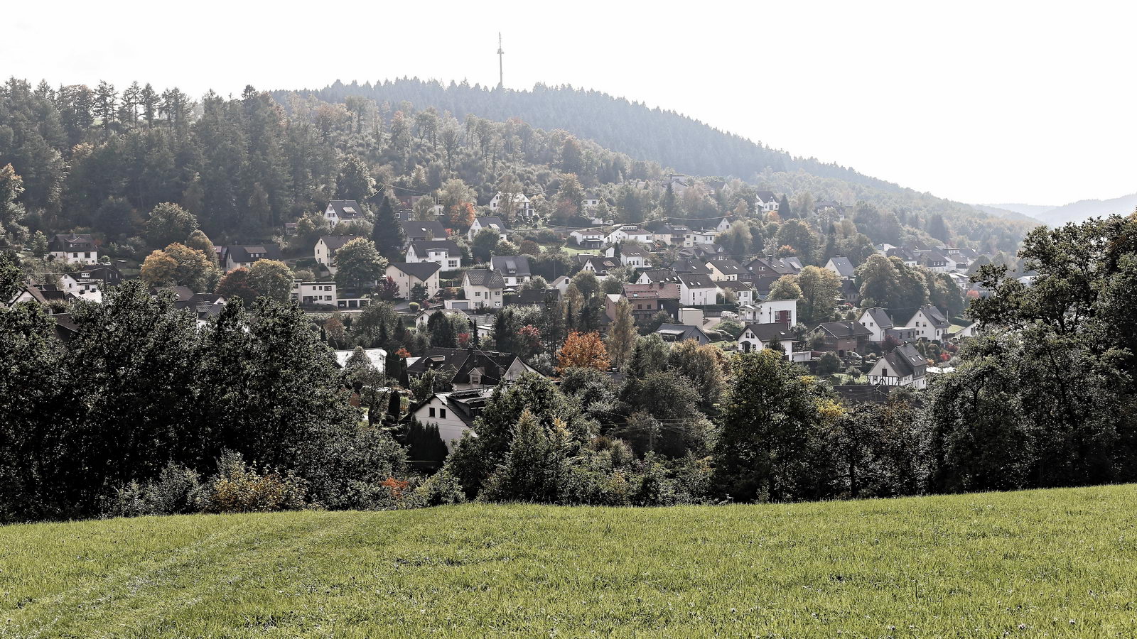 Büschergrund - ein Hochstand