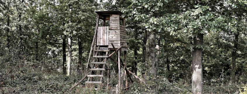 Büschergrund - ein Hochstand