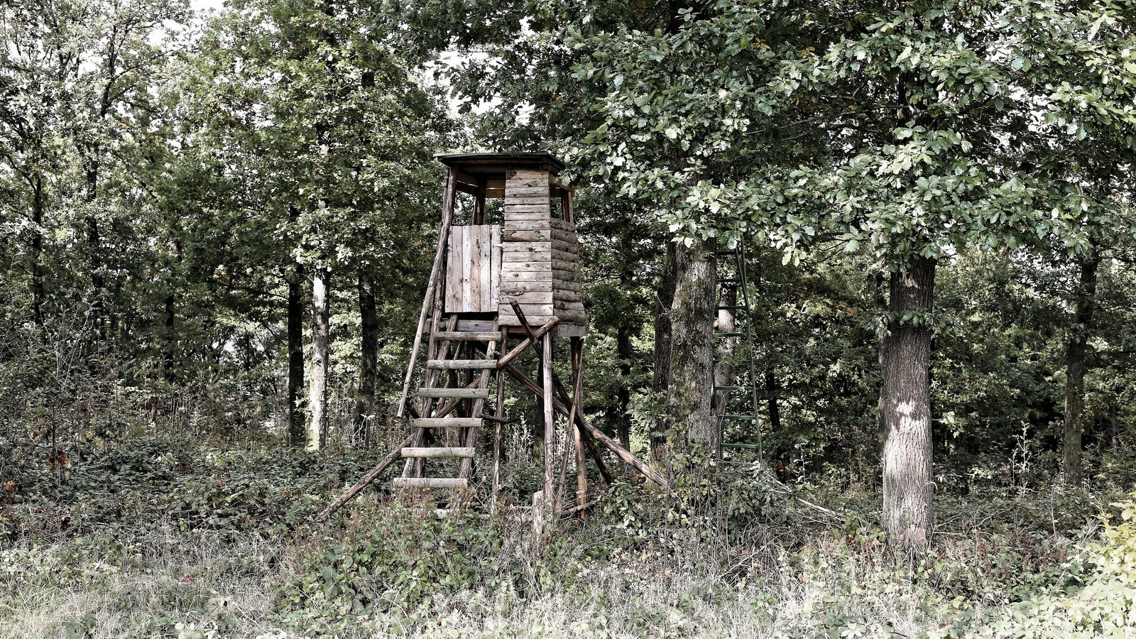 Büschergrund - ein Hochstand