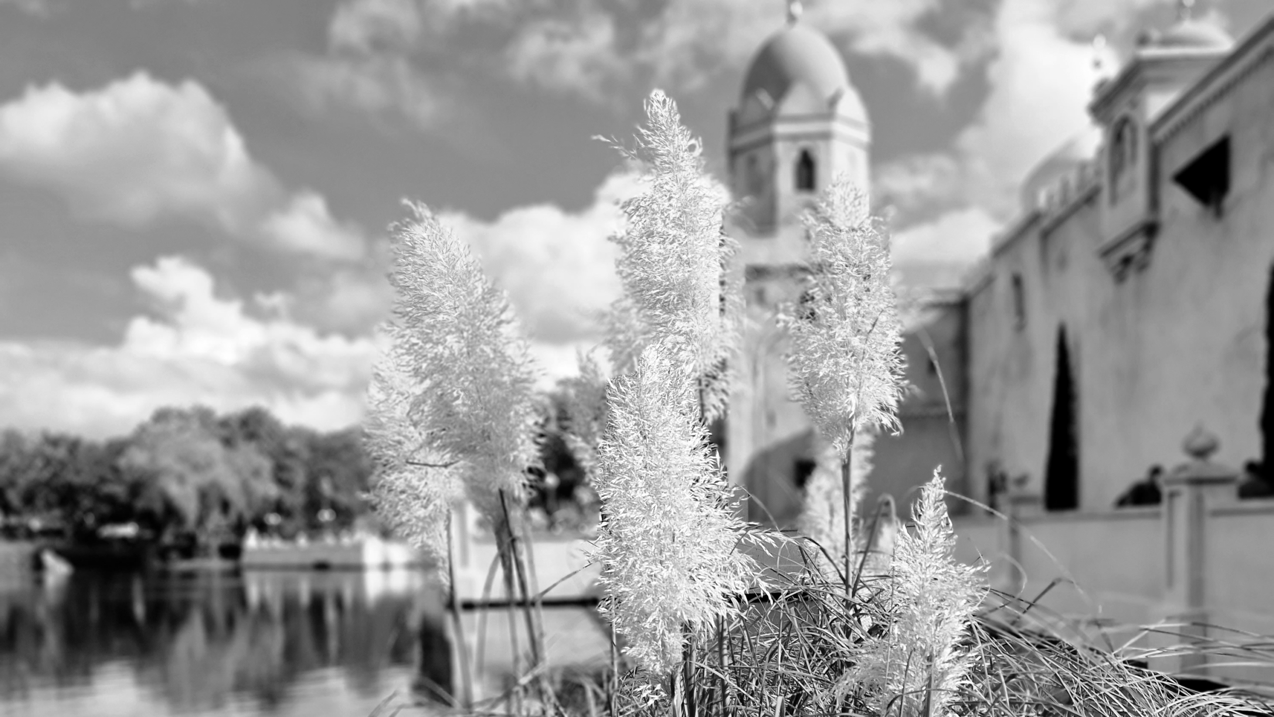 Impressionen in einem Freizeitpark